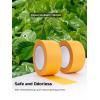 Lichamp 2 Pack 2 inch Yellow Masking Tape, Orange Washi Tape for DIY Crafts & Artist Arts, Painting, Decoration, 1.9 inch x 55 Yard x 2 roll, 0220YL(Total 110 Yards)