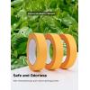 Lichamp 3 Pack 1 inch Yellow Masking Tape, Orange Washi Tape for DIY Crafts & Artist Arts, Painting, Decoration, 0.95 inch x 55 Yard x 3 roll, 0310YL(Total 165 Yards)