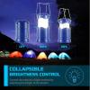 Lichamp LED Camping Lantern, 4 Pack Battery Powered Flashlight for Power Outages, Portable Collapsible Hanging Light Essential for Home, Outdoor, Emergency Lamp Survival Kit Gear for Hurricane, B4LW(Blue)