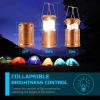 Lichamp LED Camping Lantern, 4 Pack Battery Powered Flashlight for Power Outages, Portable Collapsible Hanging Light Essential for Home, Outdoor, Emergency Lamp Survival Kit Gear for Hurricane, B4LW(Gold)