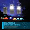Lichamp LED Camping Lantern, 4 Pack Battery Powered Flashlight for Power Outages, Portable Collapsible Hanging Light Essential for Home, Outdoor, Emergency Lamp Survival Kit Gear for Hurricane, B4LW(Dark Gray)