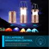Lichamp LED Camping Lantern, 4 Pack Battery Powered Flashlight for Power Outages, Portable Collapsible Hanging Light Essential for Home, Outdoor, Emergency Lamp Survival Kit Gear for Hurricane, B4LW(Rose Gold)