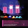Lichamp LED Camping Lantern, 4 Pack Battery Powered Flashlight for Power Outages, Portable Collapsible Hanging Light Essential for Home, Outdoor, Emergency Lamp Survival Kit Gear for Hurricane, B4LW(Pink)